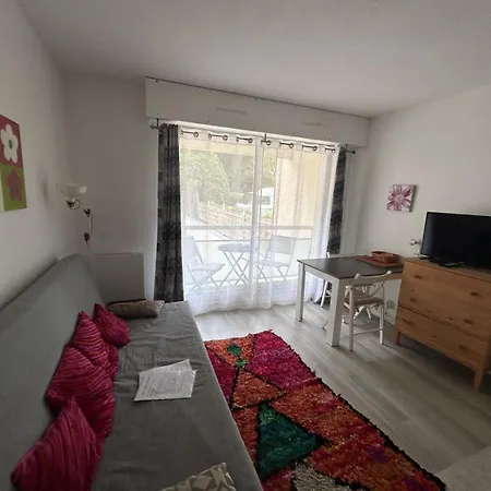 Studio-cabine, Acces Direct Port Et Plage, Les Pieds Dans L'eau 阿卡雄