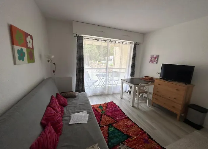 Studio-cabine, Acces Direct Port Et Plage, Les Pieds Dans L'eau Arcachon