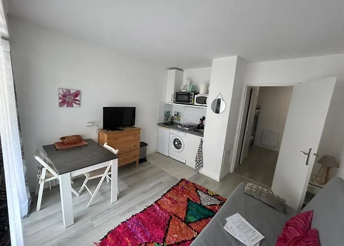 Studio-cabine, Acces Direct Port Et Plage, Les Pieds Dans L'eau Apartment Arcachon